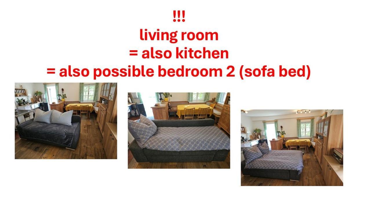 Premium Apartment Mit Privatem Whirlpool, Sauna, Garten Sankt Martin am Grimming Exteriér fotografie