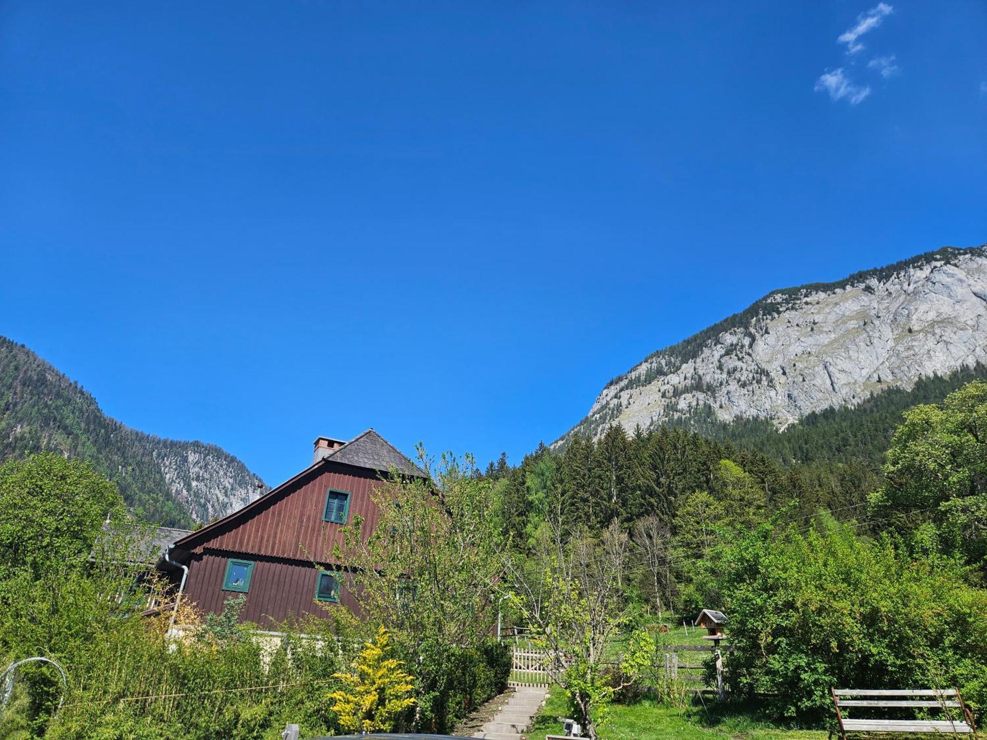 Premium Apartment Mit Privatem Whirlpool, Sauna, Garten Sankt Martin am Grimming Exteriér fotografie