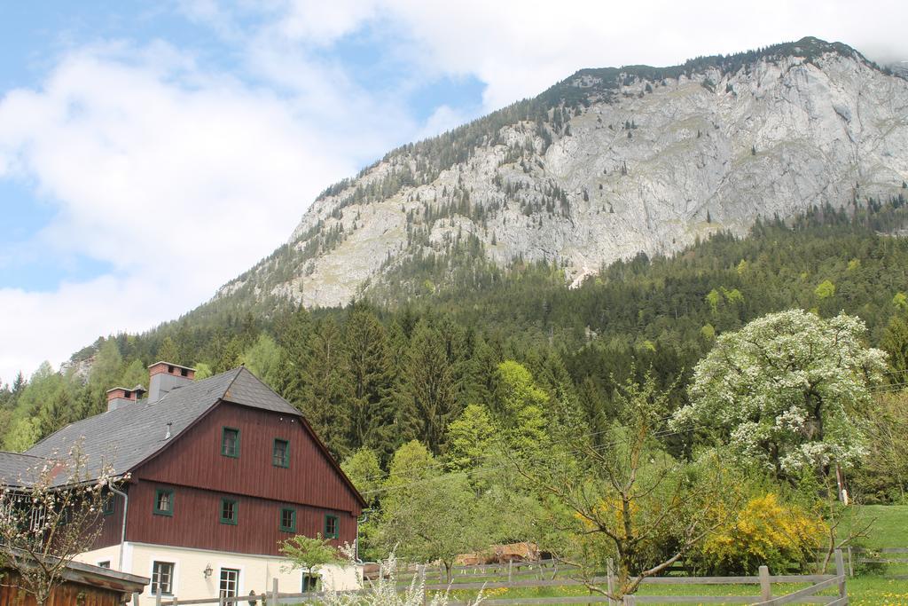 Premium Apartment Mit Privatem Whirlpool, Sauna, Garten Sankt Martin am Grimming Exteriér fotografie